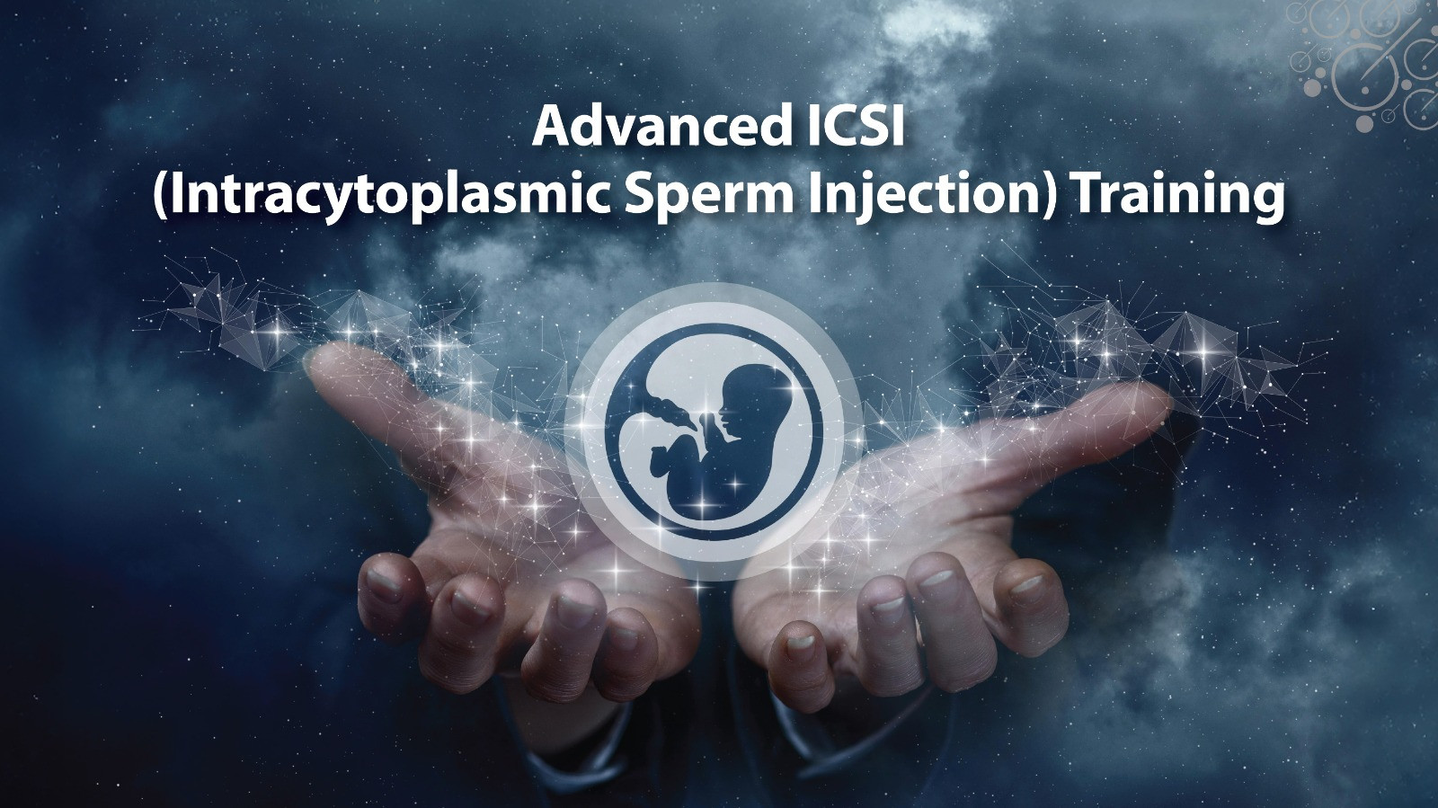 Advanced ICSI (Intracytoplasmic Sperm Injection) Training
