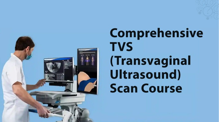 Comprehensive TVS (Transvaginal Ultrasound) Scan Course